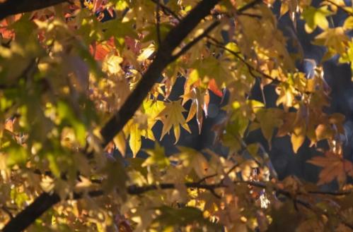 Vremea marți, 24 septembrie 2024, la Constanța. Detalii meteo