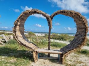 Locul de vis neștiut al litoralului Plaja sălbatică cu nisip fin și scoici gigantice (FOTO+VIDEO)