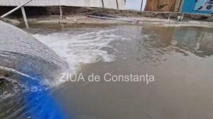 Sondaj de opinie  Considerați că autoritățile se implică suficient pentru a minimiza efectele fenomenelor meteo ?  