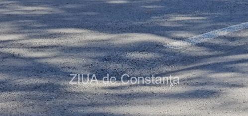 Constanța Atenție șoferi! Se surpă șoseaua și pe bulevardul Alexandru Lăpușneanu în zona intersecției cu strada Portiței (GALERIE FOTO+VIDEO) 