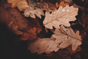 Constanța se pregătește de o periodă cu vreme rece. Scăderi bruște ale temperaturilor 