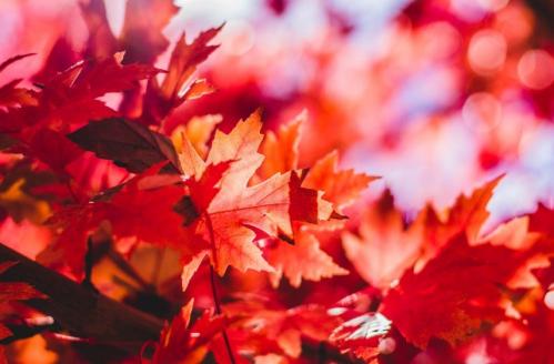 Vremea la Constanța în perioada 16-18 octombrie va fi rece. Anunțul meteorologilor 