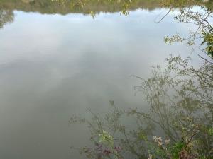 #ConstanțaEsteBine Valul 11 de energie – partea întâi – ziua 15 16 octombrie 2024 Suntem cu o zi înainte de luna plină