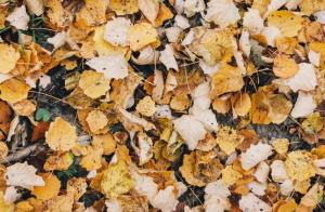 Vremea la Constanța azi, 21 octombrie. Temperaturi la malul mării 