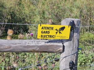 Paradisul din Periprava, înconjurat cu gard electric. Inspectorii nu l-au găsit (GALERIE FOTO)