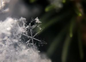 Cum va fi vremea de sărbătorile de iarnă. Directorul ANM face precizări 