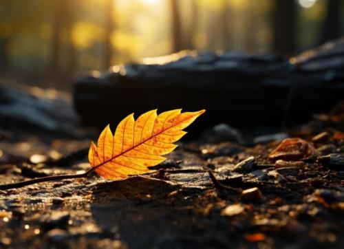 Ce ne rezervă vremea în perioada 31 octombrie - 2 noiembrie la Constanța 