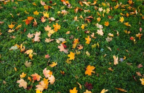 Meteo Constanța Vreme rece în prima parte a săptămânii! Prognoza detaliată pentru următoarele zile