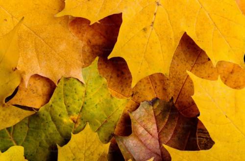 Prognoza meteo pentru Constanța. Temperaturi în intervalul 6-8 noiembrie 