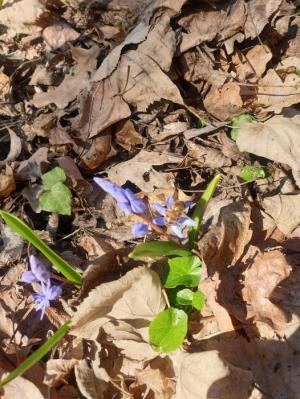 #ConstanțaEsteBine Valul 12 de energie - partea întâi - ziua 14. 14 noiembrie 2024. Cum sunteți înainte de luna plină din Taur de mâine?