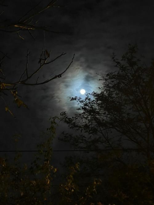 #ConstanțaEsteBine Valul 12 de energie - partea a doua - ziua 1. 16 noiembrie 2024. Cum a fost Luna plină la voi?