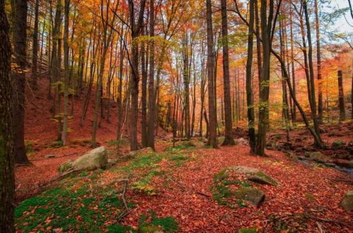 Cum va fi vremea la Constanța în acest weekend. Anunțul meteorologilor