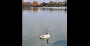 #ConstanțaEsteBine Valul 12 de energie – partea a doua – ziua 3 18 noiembrie 2024 Iată-ne ajunși la începutul unei alte săptămâni de luna noiembrie