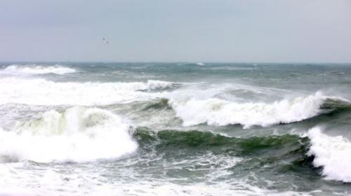 Vânt puternic la Constanța! Numere utile în caz de urgență