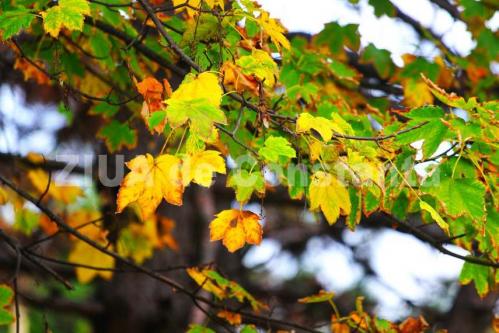 Dobrogea, între soare și nori. Vremea la malul mării marți, 26 noiembrie 