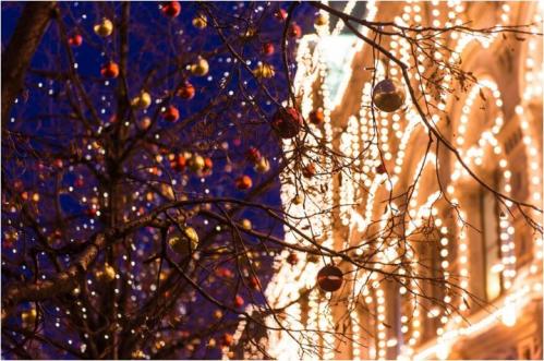 Cumpărări directe Constanța RC Energo Install SRL va asigura iluminatul festiv din Mangalia. Goldterm Mangalia SA va scoate din conturi peste 260.000 lei (DOCUMENT) 