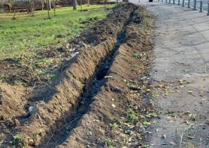 Echipele Primăriei Constanța, mobilizate pentru îmbunătățirea spațiilor verzi din oraș