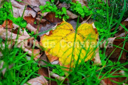 Vremea în Dobrogea pe două zile. Temperaturi la malul mării 