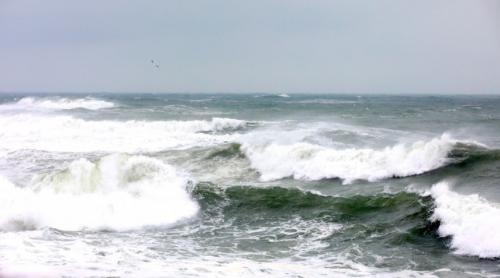 Cod galben de vânt puternic la Constanța! Unde trebuie să suni dacă întâmpini probleme 