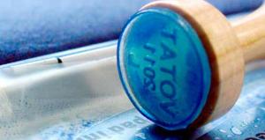 #Alegeriparlamentare 2024  AEP- A fost publicat Programul electoral de observare a alegerilor pentru Senat și Camera Deputaților 