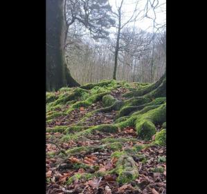 #ConstanțaEsteBine Valul 1 – ziua 8. 4 ianuarie 2024.Luna a ajuns la ultimul pătrar, în drumul său către luna nouă 