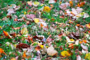 Prognoza meteo pentru 6-7 decembrie 2024, la Constanța 