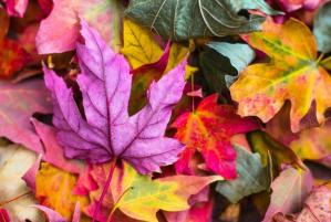 Vremea la Constanța, azi, 08 decembrie 2024. Ce spun meteorologii 