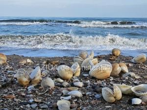 Cum va fi vremea în Dobrogea în următoarele două săptămâni. Prognoza meteorologilor până pe 22 decembrie 