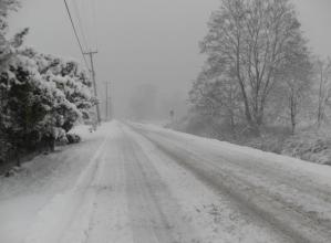 Ninsoare și temperaturi scăzute pentru ianuarie 2025, în România. Prognoza meteorologilor  