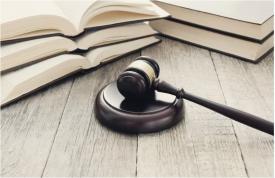 Litigiu Comercial la Judecătoria Constanța Ordonanță de plată între Hriri Distribution SRL și Toya Performance