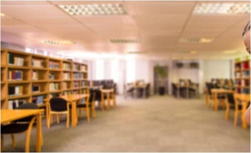 Cumpărări directe Constanța Școala „Ion Creangă” din Albești,  dotată cu mobilier și materiale didactice de Ozel Steel Profil Distribution SRL (DOCUMENT)  