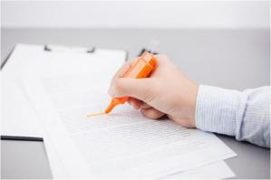 Conflicte comerciale Nemulțumită de decizia Tribunalului Constanța, debitorul Vilfo Steel SRL contestă o ordonanță de plată  