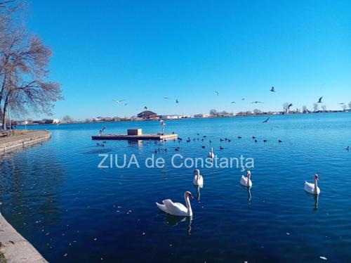 Dobrogea, între căldură neobișnuită și ger. Prognoza meteo pentru următoarele două săptămâni