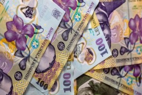 Bugetul de stat al Romaniei, prezentat in coalitia de guvernare pana pe 27 ianuarie 