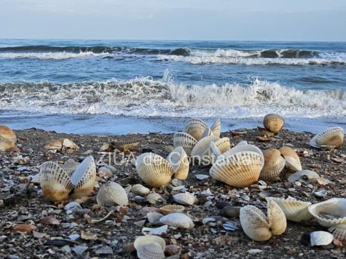 Vreme instabilă în următoarele zile la Constanța. Ce spun meteorologii 