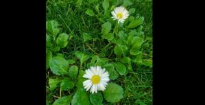 #ConstanțaEsteBine 11 ianuarie 2025. Bine ne-am regăsit, foarte aproape de Luna plină.