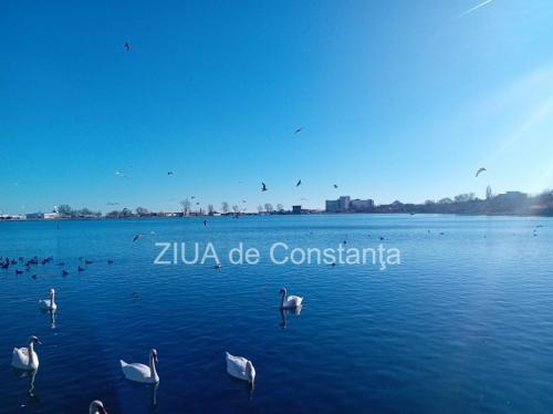 Vreme schimbătoare în Dobrogea. Prognoza meteo pentru următoarele două săptămâni