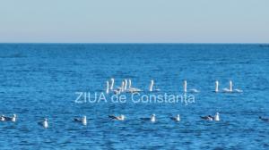 Vremea în acest final de săptămână, la Constanța 