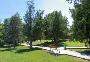 Cumpărări directe Constanța O firmă din Sibiu va actualiza Registrul local al spațiilor verzi din Medgidia (DOCUMENT) 