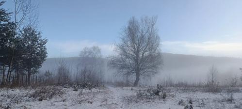 #ConstanțaEsteBine 20 ianuarie 2025 Început de săptămână de ianuarie