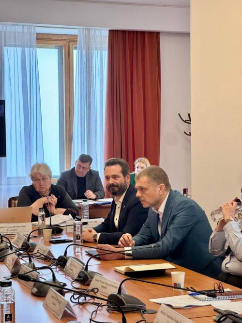 Senatorul PNL, Silviu Coșa despre reglementarea epuizării profesionale (burnout) 