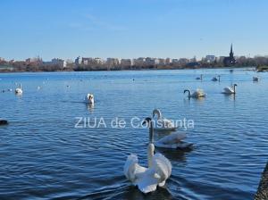 Vreme plăcută în următoarele două săptămâni în Dobrogea! Când sunt așteptate precipitații la malul mării