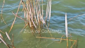 Vremea în următoarele două săptămâni, în Dobrogea. Temperaturile vor varia 