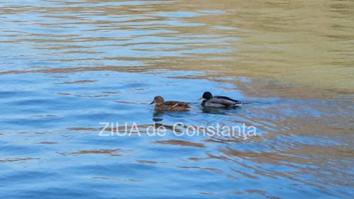 Zi de luni rece la malul mării. Cu ce vreme începem săptămâna, la Constanța 