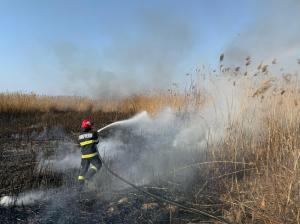 UPDATE Incendiu produs la vegetație stuficolă în apropiere de localitatea Somova, județul Tulcea (FOTO+VIDEO) 