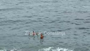 Știri Constanța În prag de cod galben de ninsori, temerarii fac baie în apa mării, la Cazino (FOTO+VIDEO) 