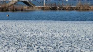 Peisaj glaciar pe lacul Siutghiol din Constanța! Gerul, artist desăvârșit (GALERIE FOTO+VIDEO)