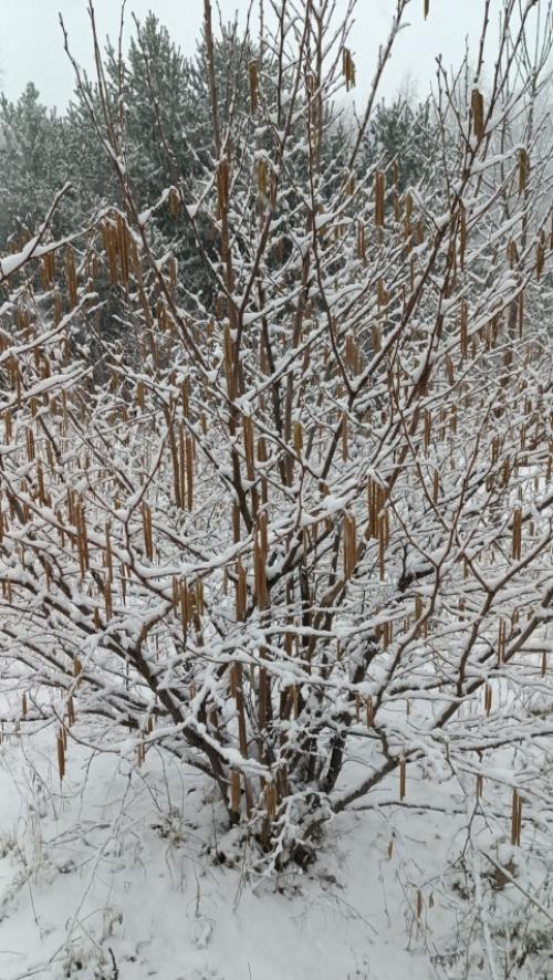 #ConstantaEsteBine 21 februarie 2025. Pierderea în greutate se face cu ușurință