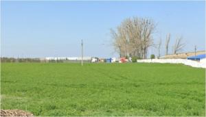  Oportunitate de investiție în județul Constanța Ferma deținută de Agroton Mixt SRL în Mihail Kogălniceanu, scoasă la licitație (DOCUMENT) 