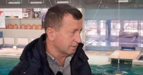 Directorul de la Delfinariu, după moartea delfinului Chen Chen- „Vom face toate demersurile să continuăm activitatea, va fi foarte greu“ (VIDEO)